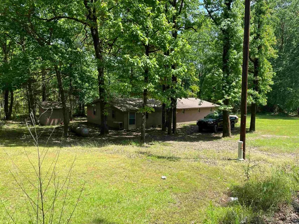 20 Bryant Ln, Plainview, AR 72857