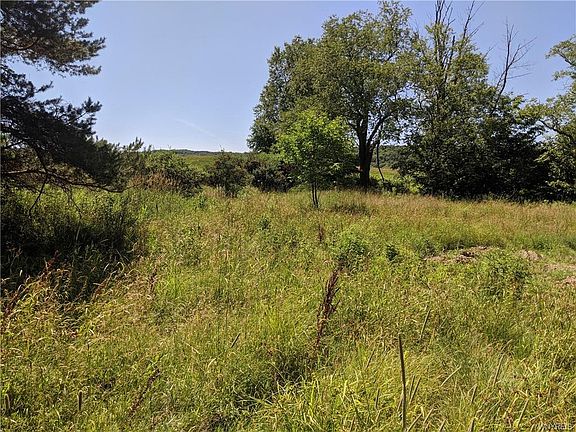 3rd image of 5731 Thornwood Dr