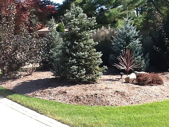 4th image of 5305 Breeze Wood Dr