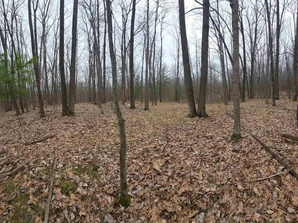 Hillcrest Rd, Roscommon, MI 48653