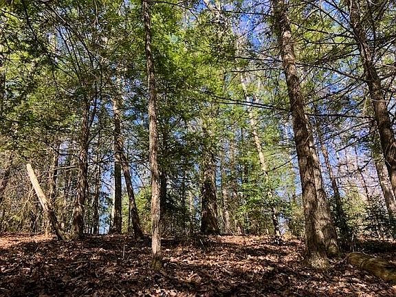 5th image of 0 Sullivan Mill Ln