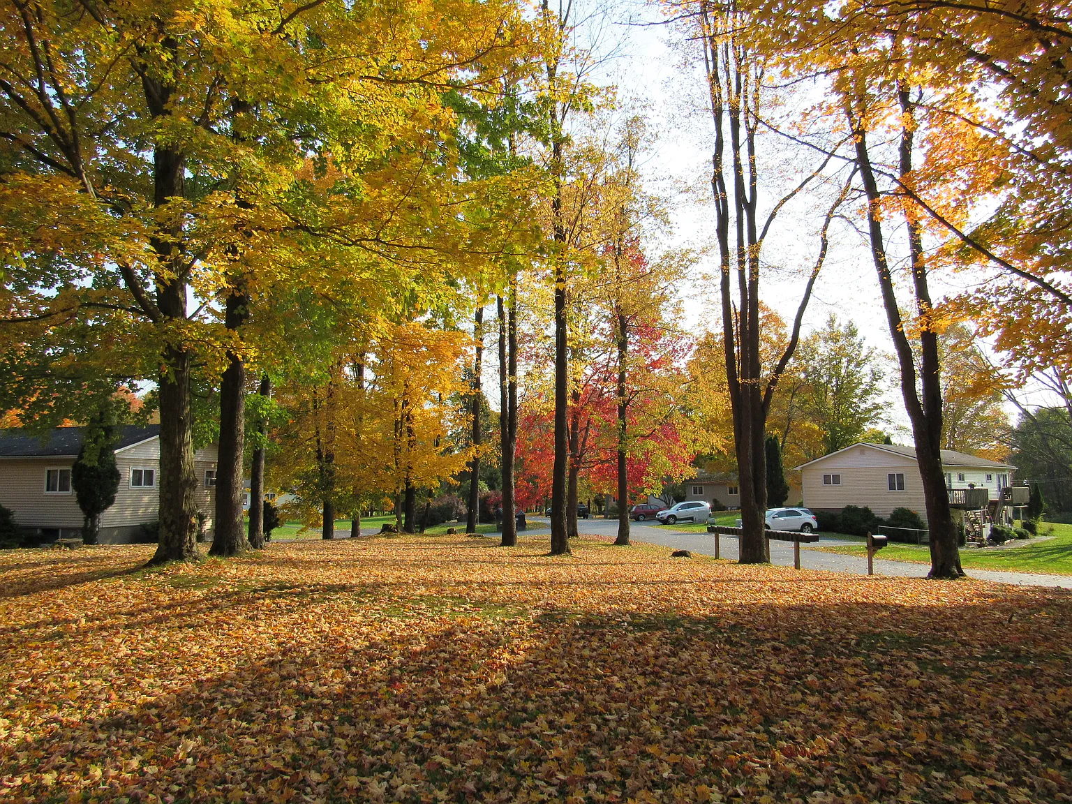 2 bed, 780 sqft, $875 — Photo 3