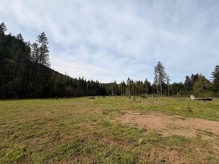 90686 Poodle Creek Rd — Photo 32