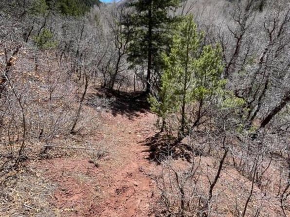 LOT 10 FALL CRE 57T Fall Creek Road, Placerville, CO 81430
