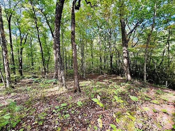 4th image of LOT 162 Trailwood Dr