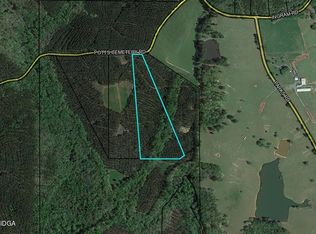 234 Potts Cemetery Rd, Forsyth, GA 31029