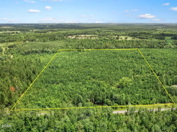 Reddick Mill Rd, Graceville, FL 32440