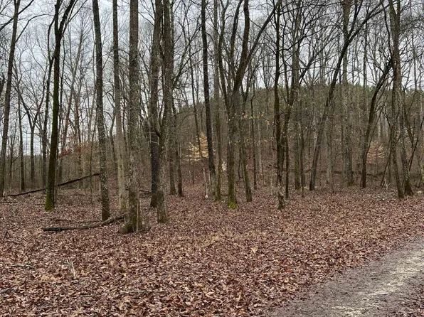 Point Mason Rd Parcel 22, Big Sandy, TN 38221