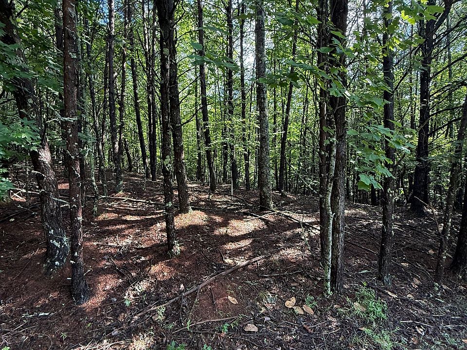 2nd image of 5 Marci Ln