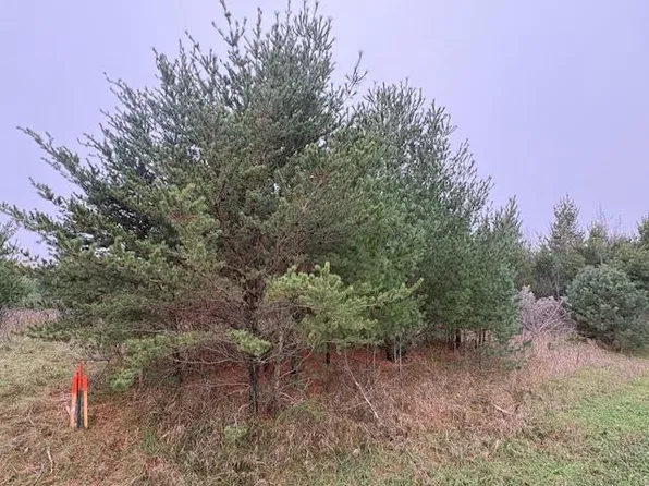 Tbdxx Overland Dr, Browerville, MN 56438
