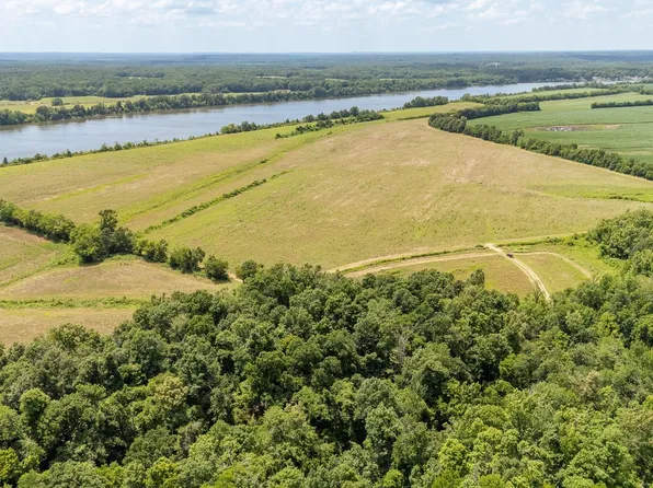 10157 Clifton Rd, Savannah, TN 38372