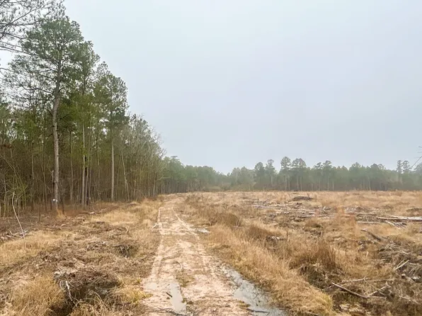 County Road 8, Hampton, AR 71744