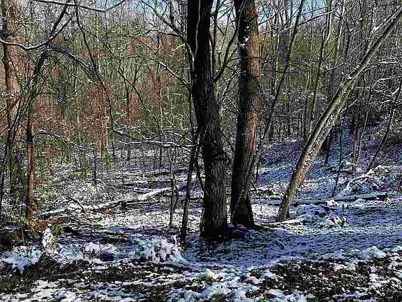 2nd image of 0 Cove Mountain Ln Lot 10