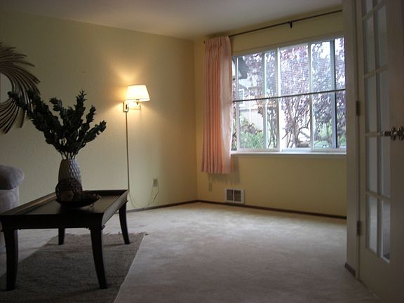 Plenty of Natural Light