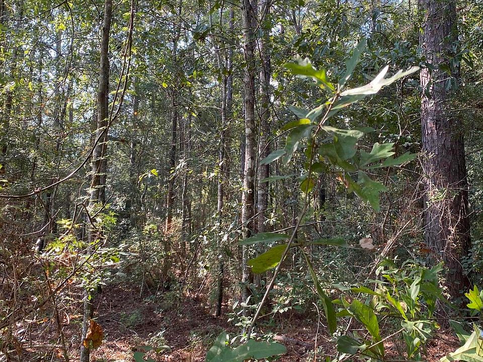 2nd image of Virgil Lewis Rd E