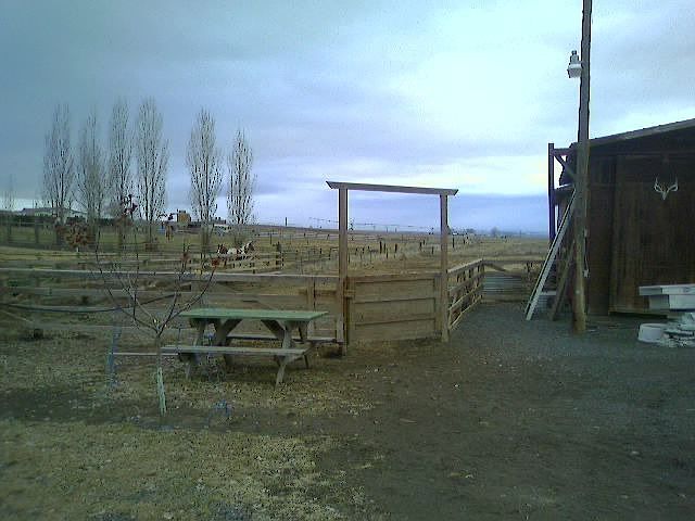 Corrals and Shop