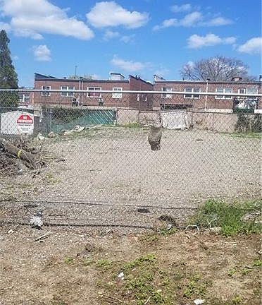 3rd image of 3534 McOwen Ave