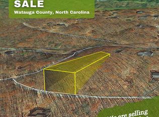 103 S Hickory Ln, Banner Elk, NC 28604