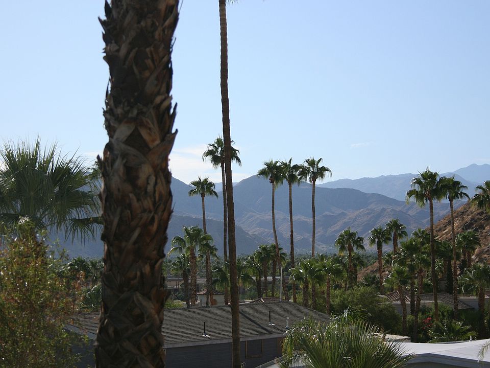 View from private patio/master
