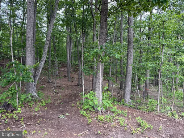 LOT 15 Panther Dr, Winchester, VA 22602