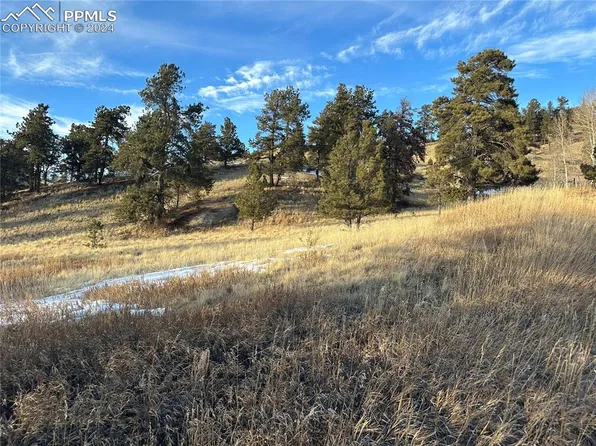 71 Elkhorn Cir, Florissant, CO 80816