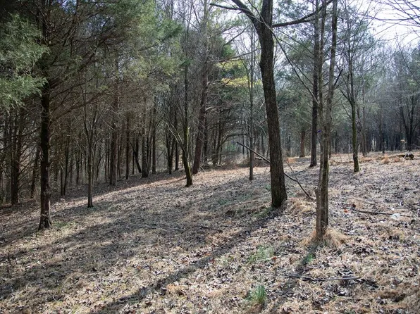 Tulip Ln, Cookeville, TN 38501