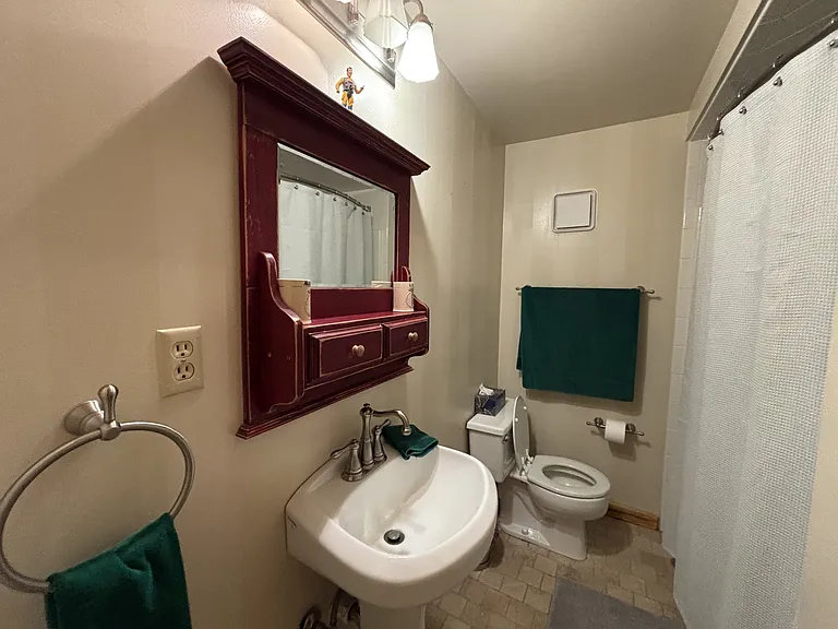 Basement Bathroom