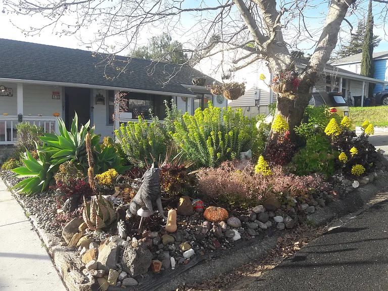 50 La Cruz Ave — Photo 37
