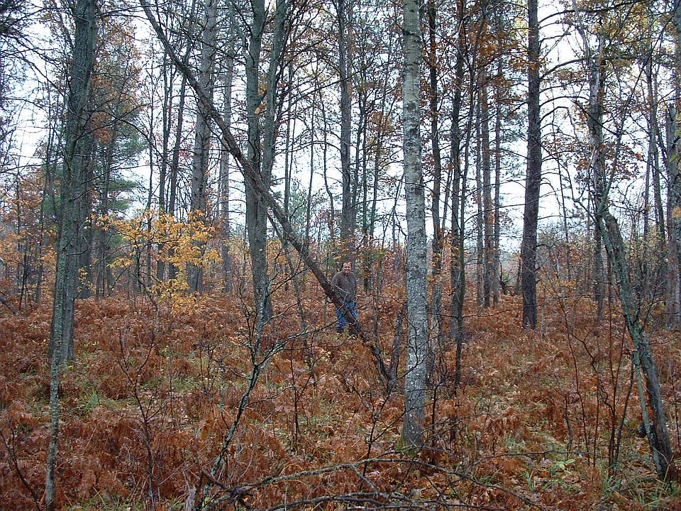 2nd image of 01 Burton Rd