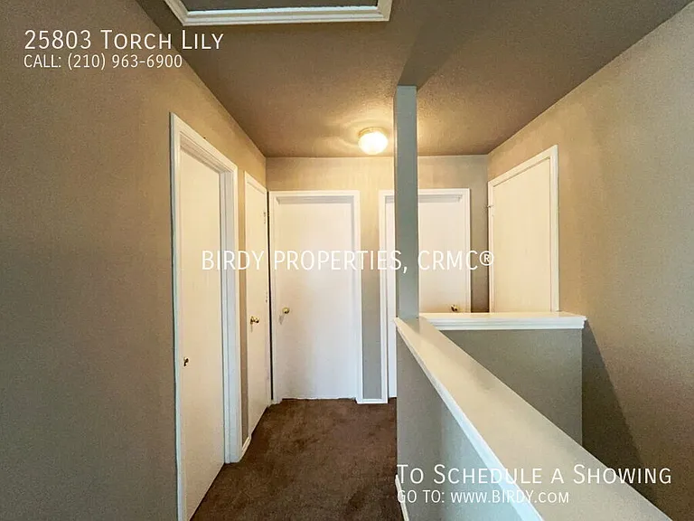 25803 Torch Lily — Photo 32