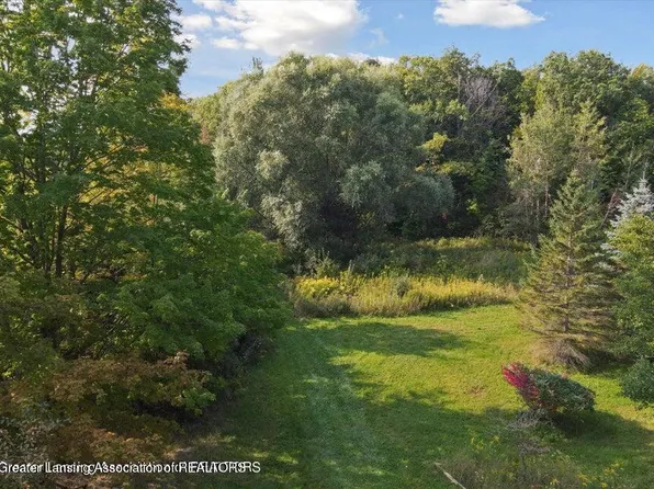 0 E Alward Rd, Dewitt, MI 48820