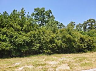 24915 Nelson Bridge Dr, Spring, TX 77389