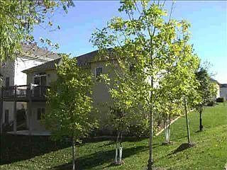 1st image of 626 S 197th St