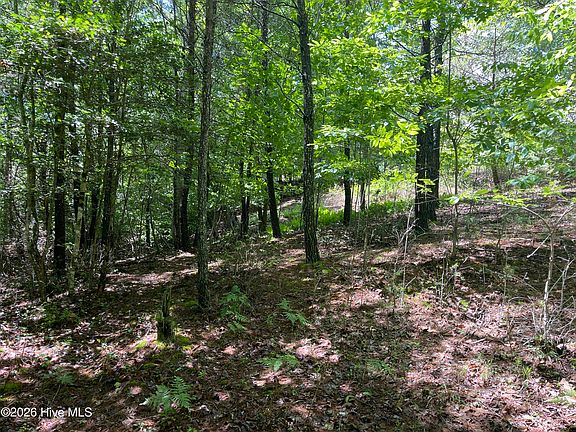 2nd image of 0 River Mountain Rd #96