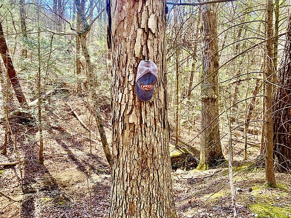 4th image of 2295 Kelley Gap Rd