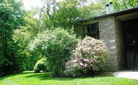 Beautiful, Quiet Setting