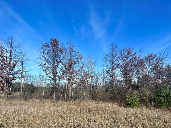 W 68th St, Baldwin, MI 49304