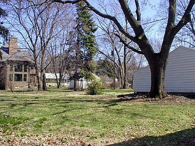 Huge yard!