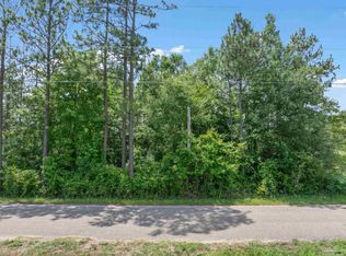 LOT 53 Mineral Springs Rd, Jay, FL 32565
