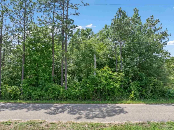 LOT 53 Mineral Springs Rd, Jay, FL 32565