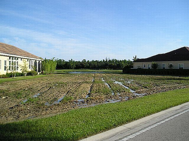 12470 Vittoria Way Homesite