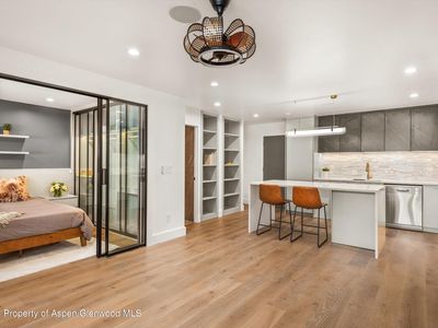 790 W Hallam St APT 2, Aspen, CO, 81611
