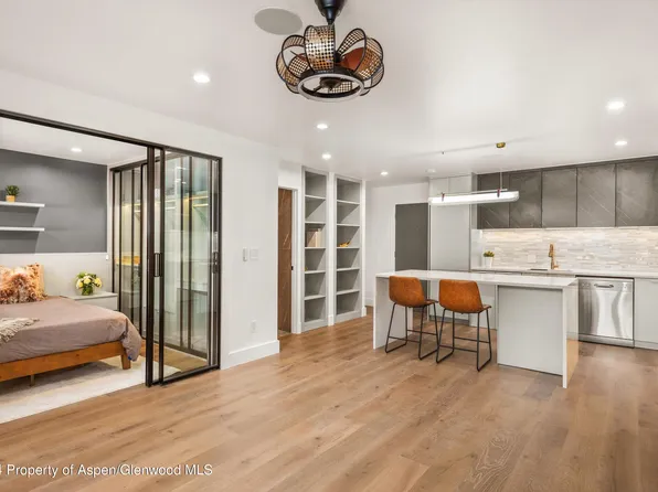 790 W Hallam St APT 2, Aspen, CO 81611