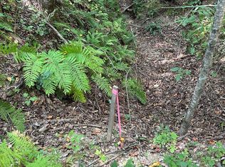 TRACT Fielder Rd #A, Ellijay, GA 30536