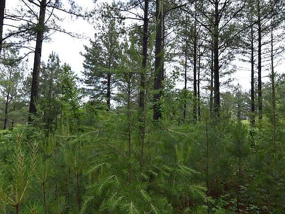 4th image of LOT 50 Pinehurst Rd