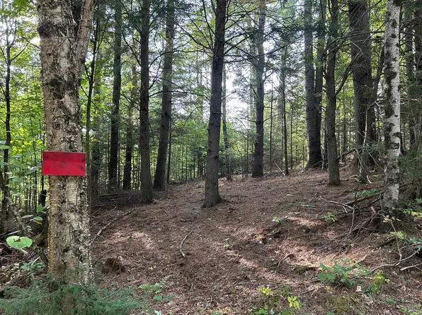 Swiftwater Circle #175, Haverhill, NH 03785