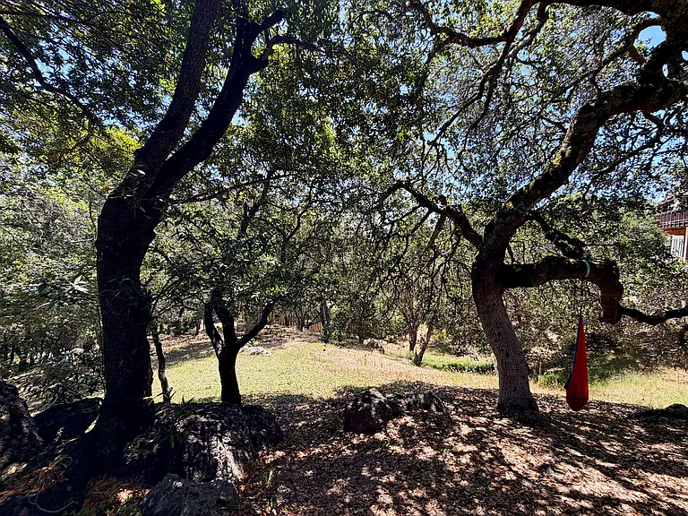 Stanton Way — Photo 19