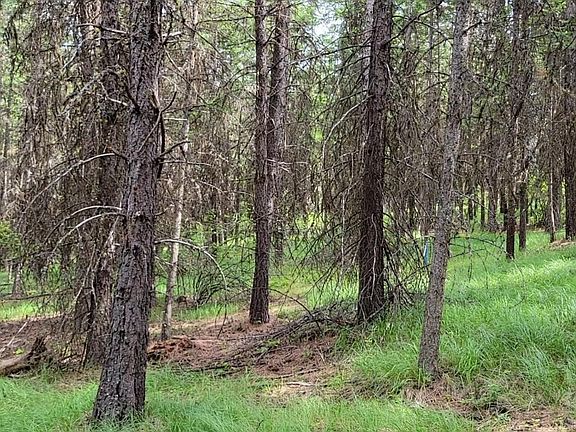 2nd image of Nhn High Country Rd