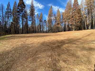 7174 Capps Crossing Rd, Grizzly Flats, CA, 95636