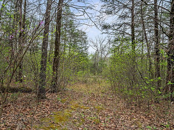 4th image of 342 & 343 Turkey Mountain Estates